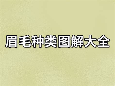 眉相男|眉毛面相图解大全：28种眉毛类型图文详细分析！